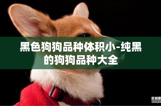 黑色狗狗品種體積小-純黑的狗狗品種大全