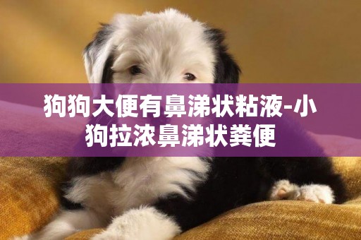 狗狗大便有鼻涕狀粘液-小狗拉濃鼻涕狀糞便
