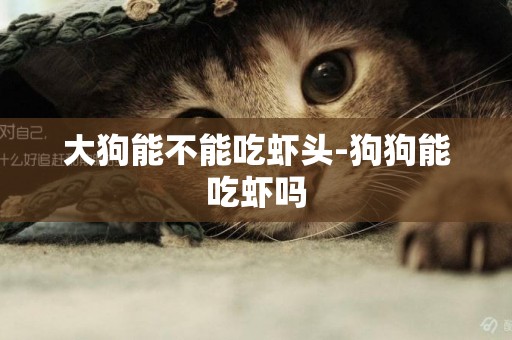 大狗能不能吃蝦頭-狗狗能吃蝦嗎
