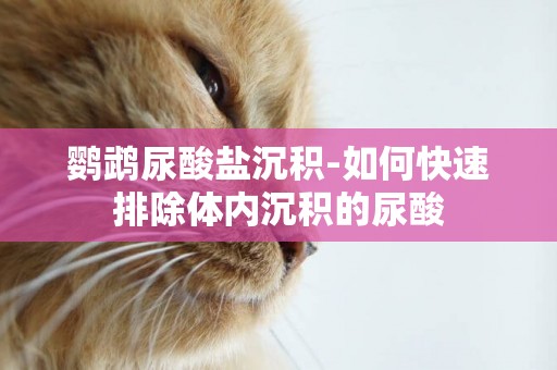 鸚鵡尿酸鹽沉積-如何快速排除體內沉積的尿酸