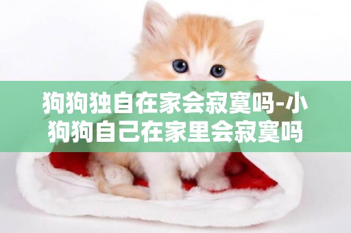狗狗獨自在家會寂寞嗎-小狗狗自己在家里會寂寞嗎
