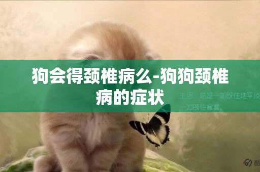 狗會得頸椎病么-狗狗頸椎病的癥狀