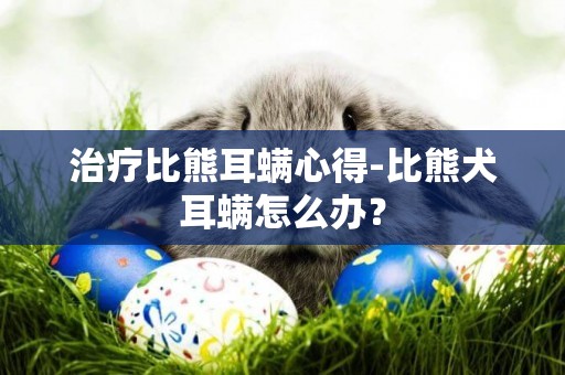 治療比熊耳螨心得-比熊犬耳螨怎么辦？