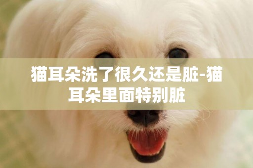 貓耳朵洗了很久還是臟-貓耳朵里面特別臟