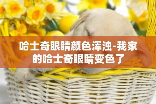 哈士奇眼睛顏色渾濁-我家的哈士奇眼睛變色了