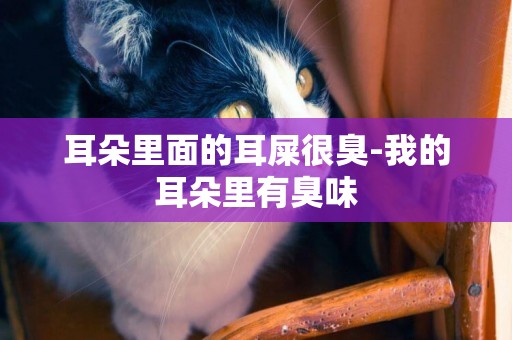 耳朵里面的耳屎很臭-我的耳朵里有臭味