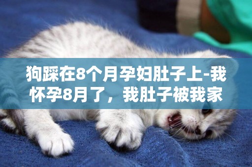 狗踩在8個月孕婦肚子上-我懷孕8月了，我肚子被我家狗抓了下請問要緊嗎