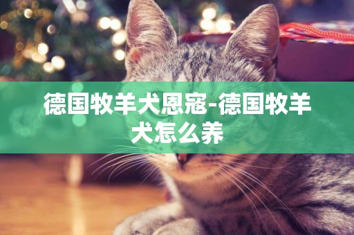 德國牧羊犬恩寇-德國牧羊犬怎么養