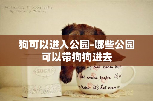 狗可以進入公園-哪些公園可以帶狗狗進去