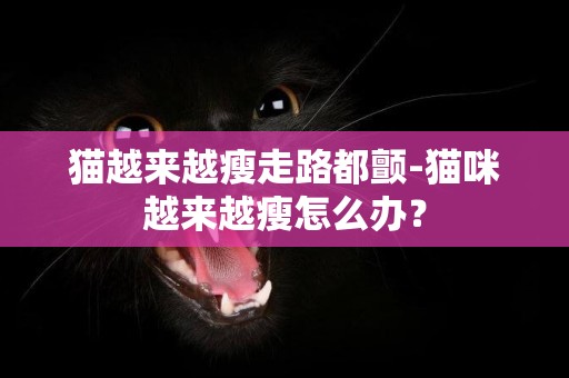 貓越來越瘦走路都顫-貓咪越來越瘦怎么辦？