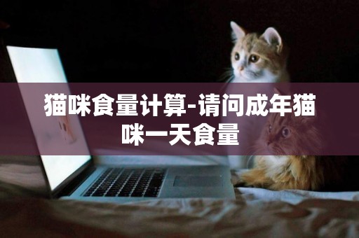 貓咪食量計算-請問成年貓咪一天食量