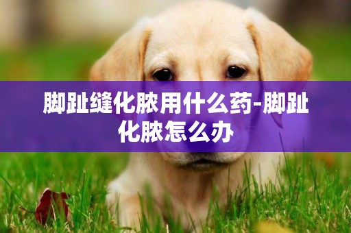 腳趾縫化膿用什么藥-腳趾化膿怎么辦