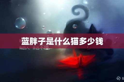 藍胖子是什么貓多少錢