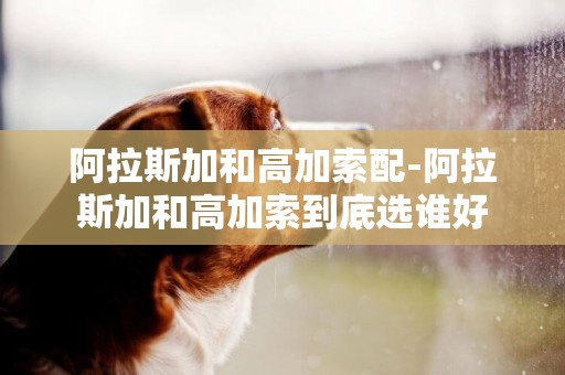 阿拉斯加和高加索配-阿拉斯加和高加索到底選誰好
