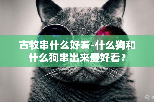 古牧串什么好看-什么狗和什么狗串出來最好看？