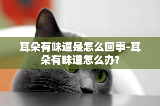 耳朵有味道是怎么回事-耳朵有味道怎么辦?