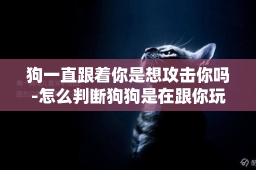 狗一直跟著你是想攻擊你嗎-怎么判斷狗狗是在跟你玩還是要攻擊你？