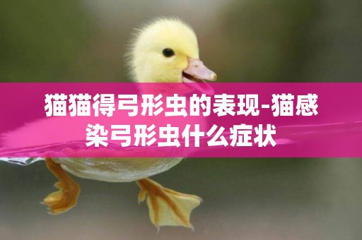 貓貓得弓形蟲的表現-貓感染弓形蟲什么癥狀