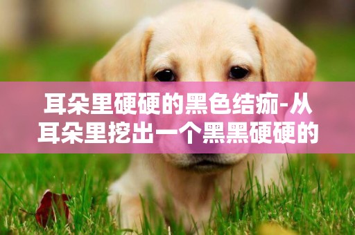 耳朵里硬硬的黑色結痂-從耳朵里挖出一個黑黑硬硬的東西