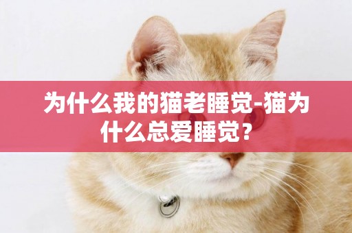為什么我的貓老睡覺-貓為什么總愛睡覺？