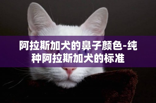 阿拉斯加犬的鼻子顏色-純種阿拉斯加犬的標準