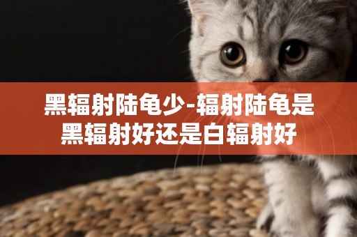 黑輻射陸龜少-輻射陸龜是黑輻射好還是白輻射好