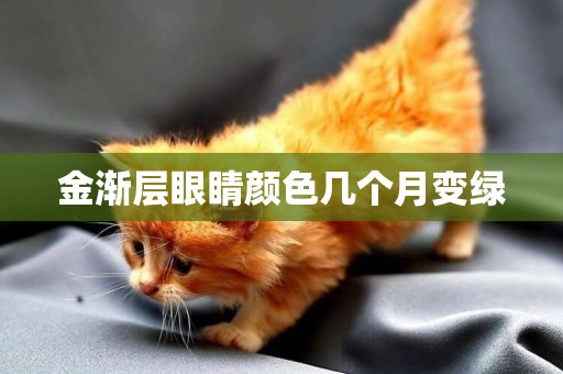 金漸層眼睛顏色幾個月變綠