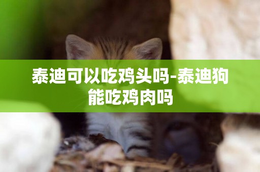 泰迪可以吃雞頭嗎-泰迪狗能吃雞肉嗎