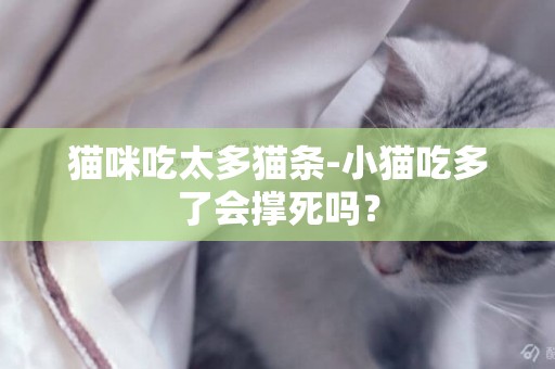 貓咪吃太多貓條-小貓吃多了會撐死嗎？