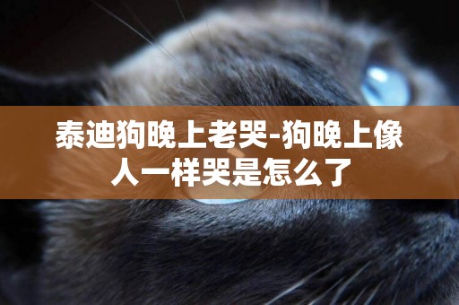 泰迪狗晚上老哭-狗晚上像人一樣哭是怎么了