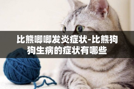 比熊唧唧發炎癥狀-比熊狗狗生病的癥狀有哪些