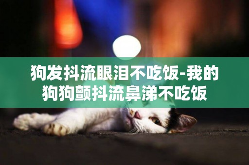 狗發抖流眼淚不吃飯-我的狗狗顫抖流鼻涕不吃飯