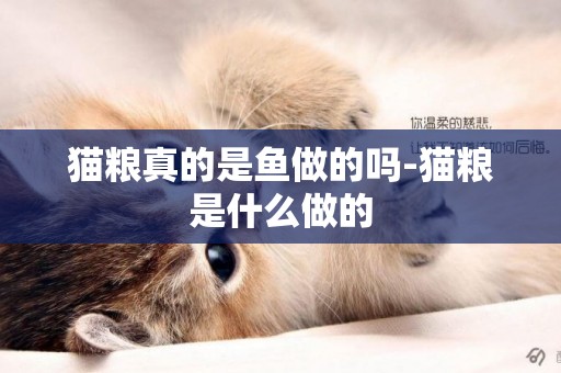 貓糧真的是魚做的嗎-貓糧是什么做的