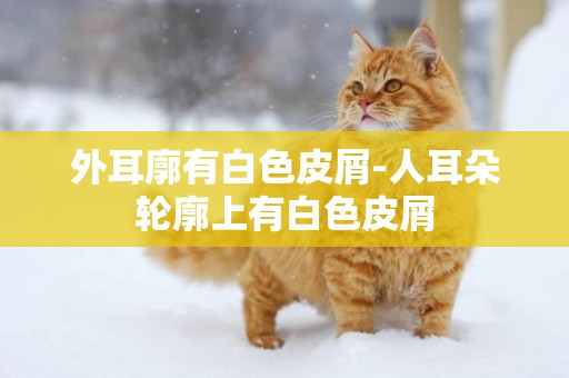 外耳廓有白色皮屑-人耳朵輪廓上有白色皮屑