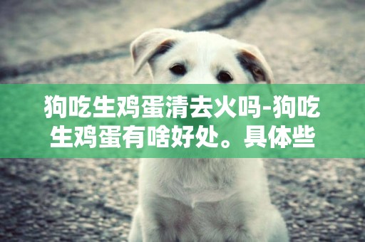 狗吃生雞蛋清去火嗎-狗吃生雞蛋有啥好處。具體些