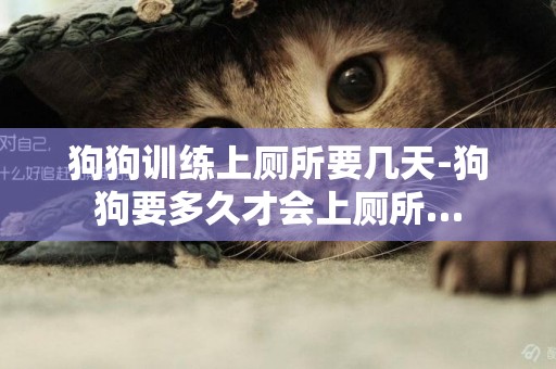 狗狗訓練上廁所要幾天-狗狗要多久才會上廁所…
