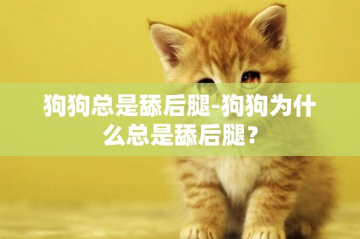 狗狗總是舔后腿-狗狗為什么總是舔后腿？