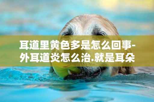 耳道里黃色多是怎么回事-外耳道炎怎么治.就是耳朵里流出黃色液體