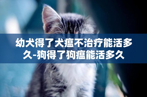 幼犬得了犬瘟不治療能活多久-狗得了狗瘟能活多久