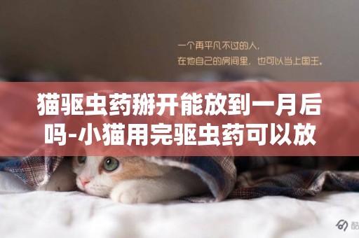 貓驅蟲藥掰開能放到一月后嗎-小貓用完驅蟲藥可以放它出去玩嗎外用
