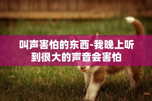 叫聲害怕的東西-我晚上聽到很大的聲音會害怕