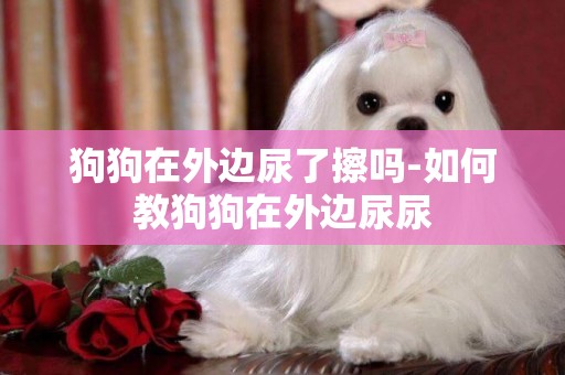 狗狗在外邊尿了擦嗎-如何教狗狗在外邊尿尿