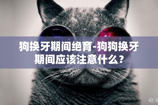 狗換牙期間絕育-狗狗換牙期間應該注意什么？