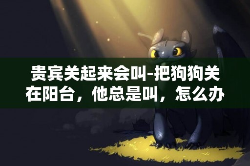 貴賓關起來會叫-把狗狗關在陽臺，他總是叫，怎么辦