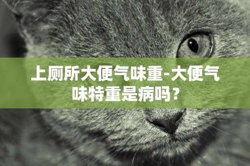 上廁所大便氣味重-大便氣味特重是病嗎？