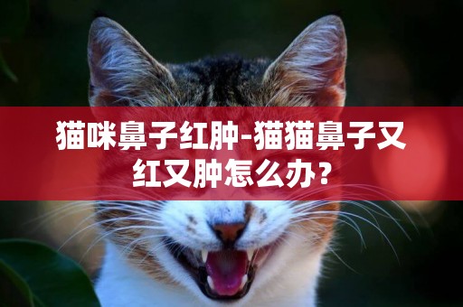 貓咪鼻子紅腫-貓貓鼻子又紅又腫怎么辦？