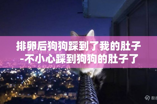 排卵后狗狗踩到了我的肚子-不小心踩到狗狗的肚子了怎么辦 好