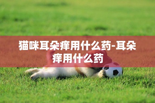 貓咪耳朵癢用什么藥-耳朵癢用什么藥