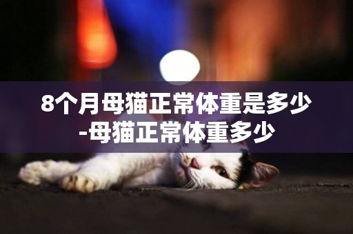 8個月母貓正常體重是多少-母貓正常體重多少