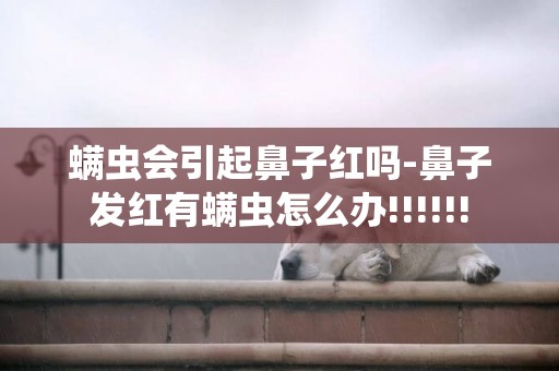 螨蟲會引起鼻子紅嗎-鼻子發紅有螨蟲怎么辦!!!!!!
